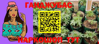 сатива Бузулук