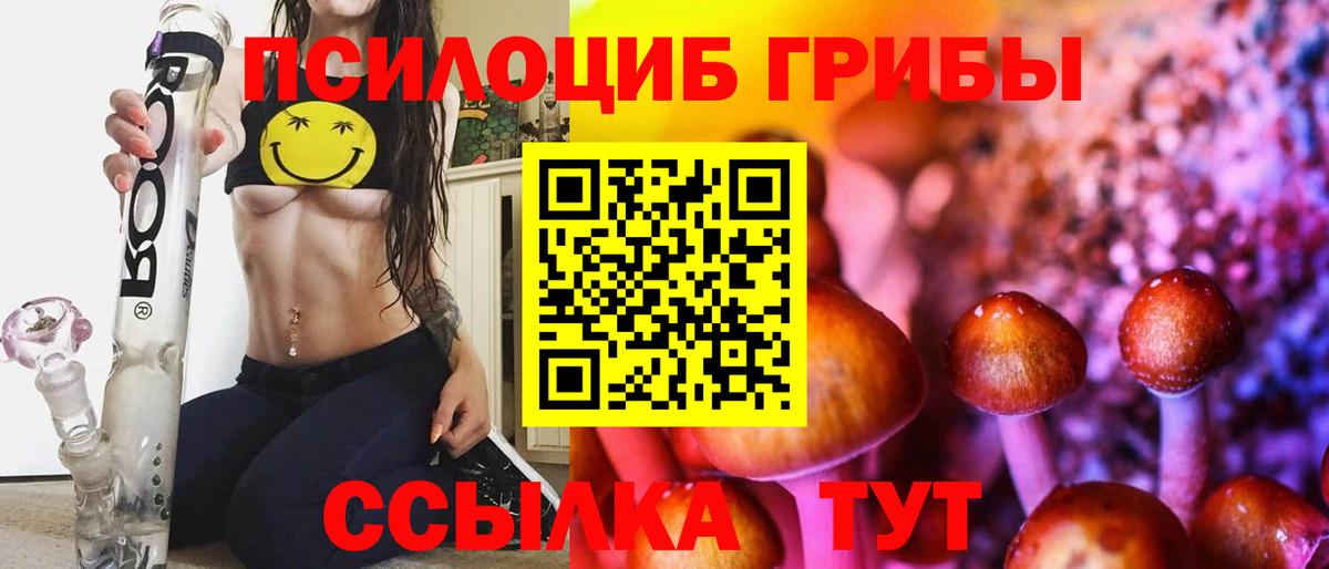 Галлюциногенные грибы Psilocybe  Вход с VPN  Псилоцибиновые грибы Cubensis  Среднеуральск 